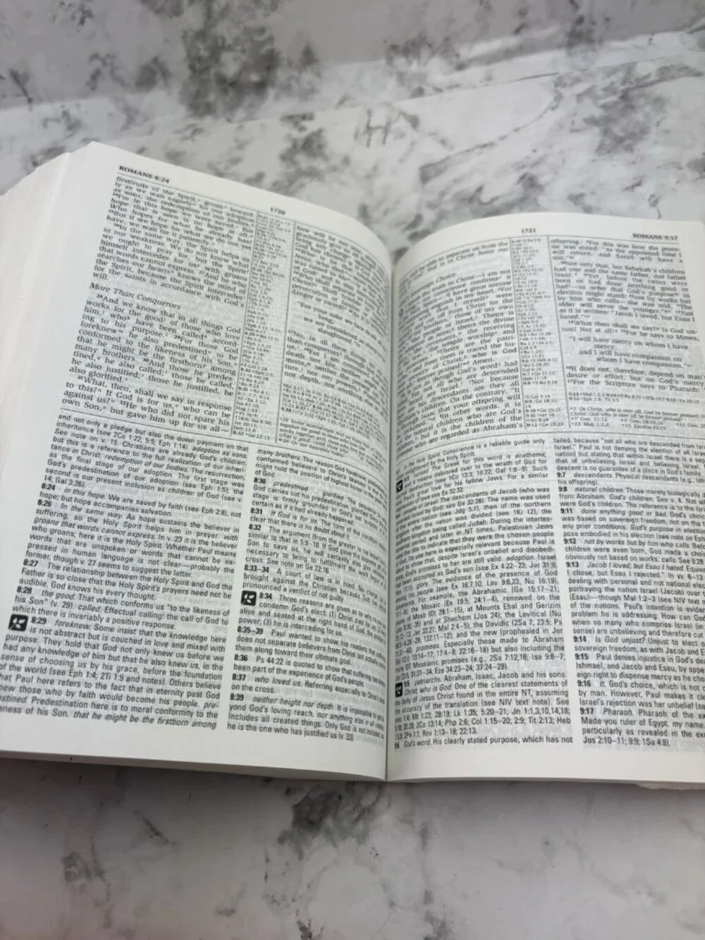*NIP New New International Version NIV Study Bible Softcover ISBN0-310-96025-8